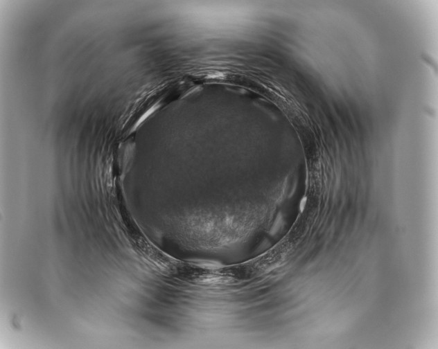 X0000093490504200710261120