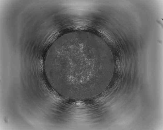 X0000093490506200710261120