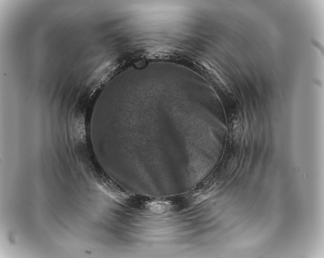 X0000093490508200710261120