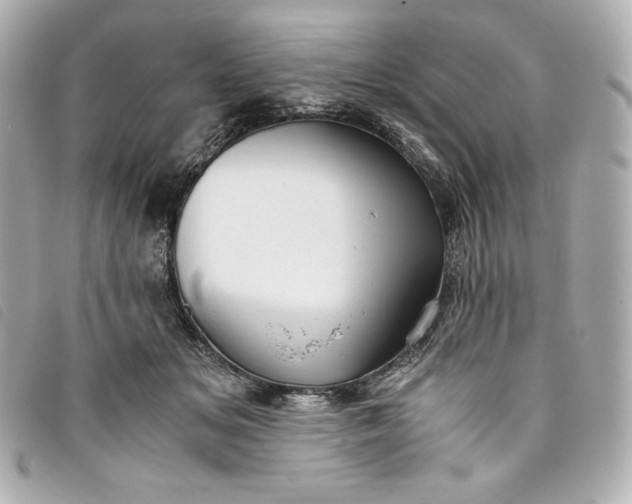 X0000093490509200710261119