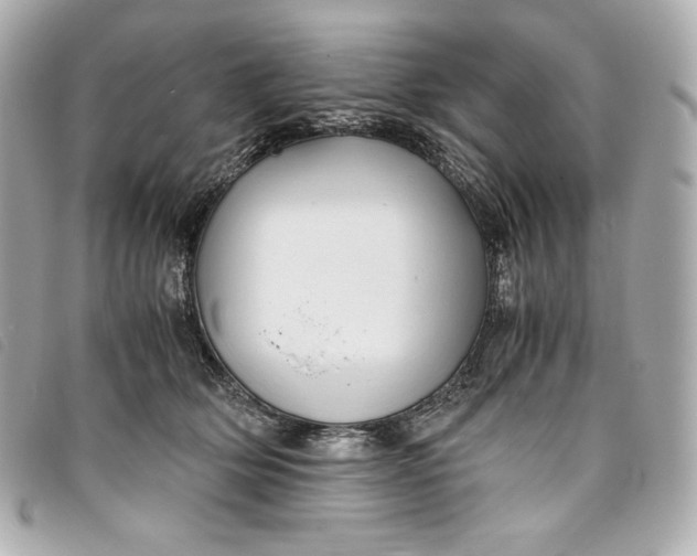 X0000093490514200710261119