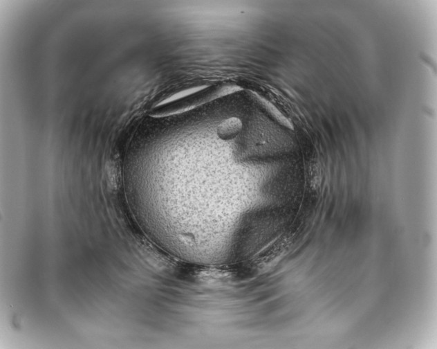 X0000093490515200710261119