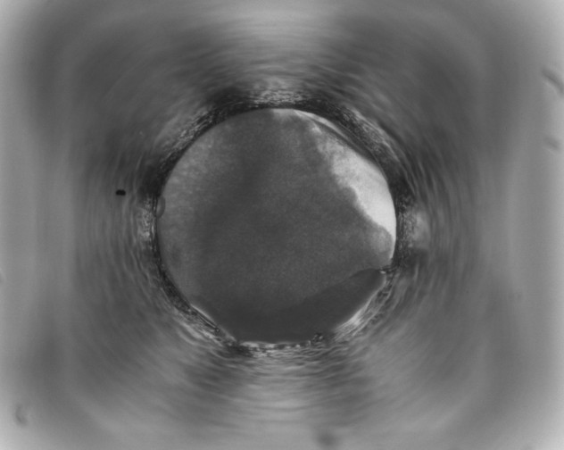 X0000093490517200710261119