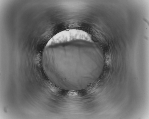 X0000093490519200710261119