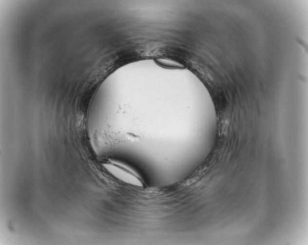 X0000093490521200710261119