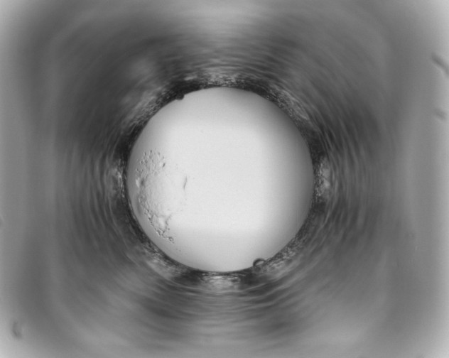 X0000093490522200710261119