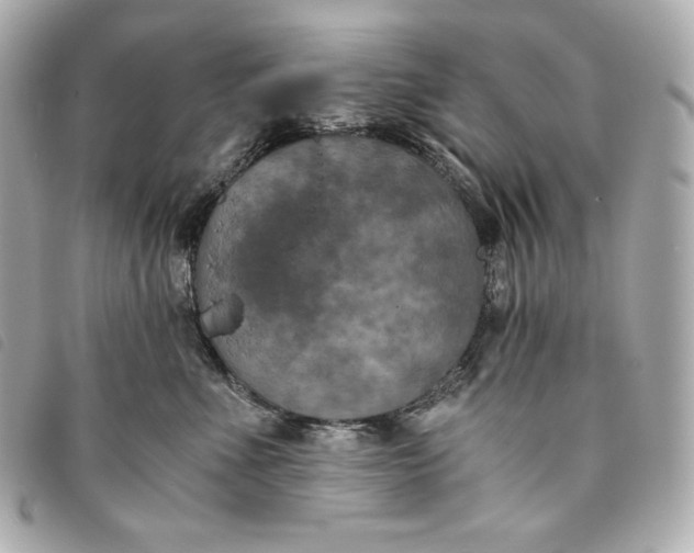 X0000093490523200710261119