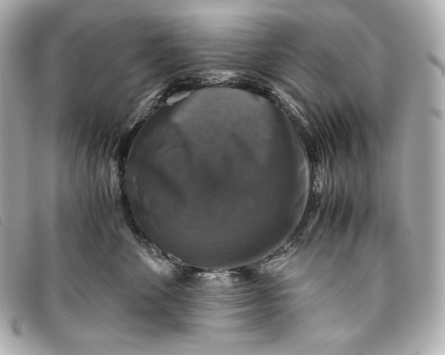 X0000093490524200710261119