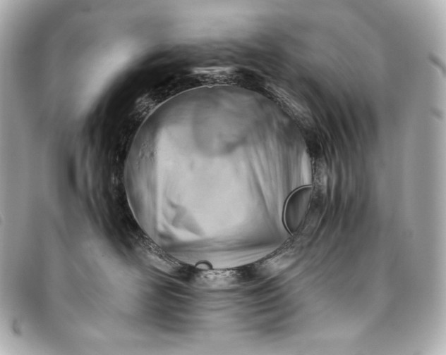 X0000093490526200710261119