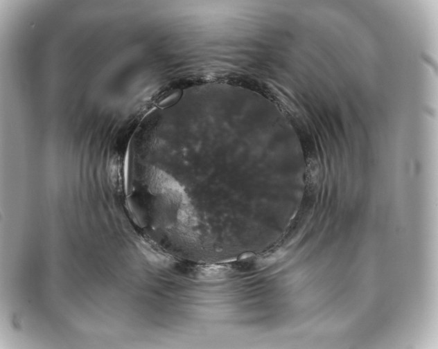 X0000093490527200710261119