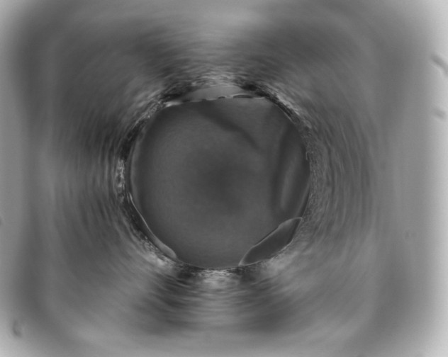 X0000093490528200710261119