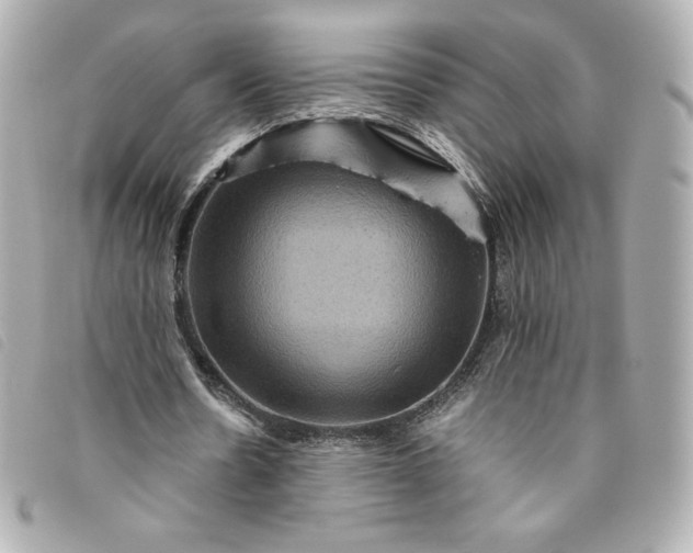 X0000093490530200710261119