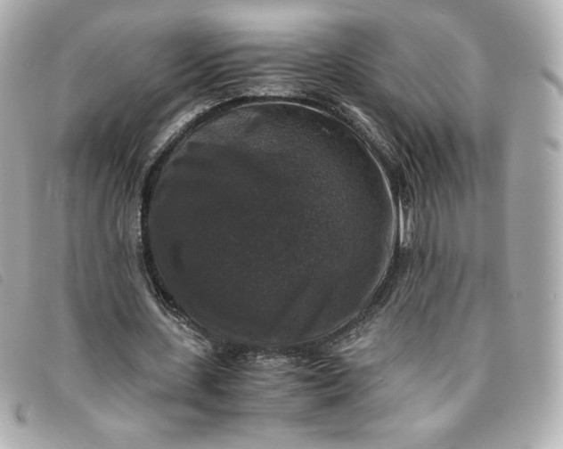 X0000093490531200710261119