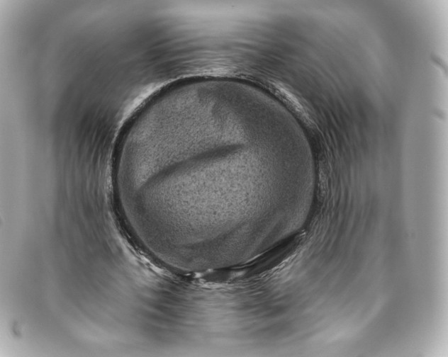 X0000093490532200710261119