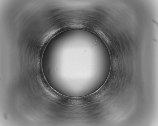 X0000093490533200710261119