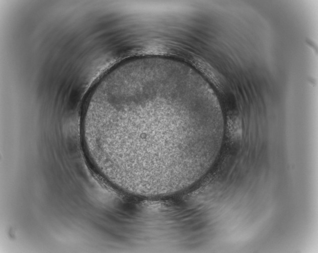 X0000093490534200710261119