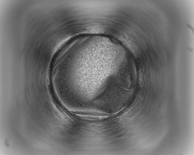 X0000093490536200710261119