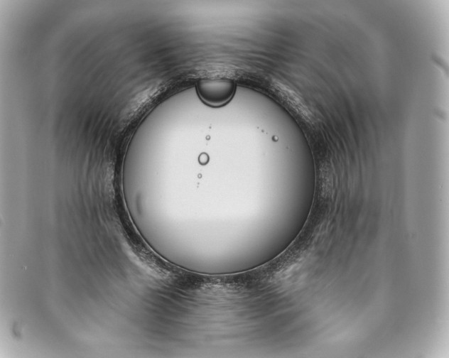 X0000093490538200710261119