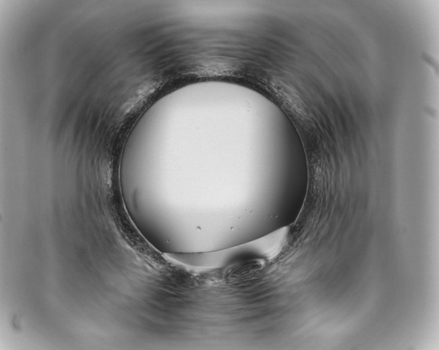 X0000093490539200710261119