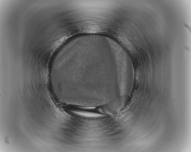 X0000093490540200710261119