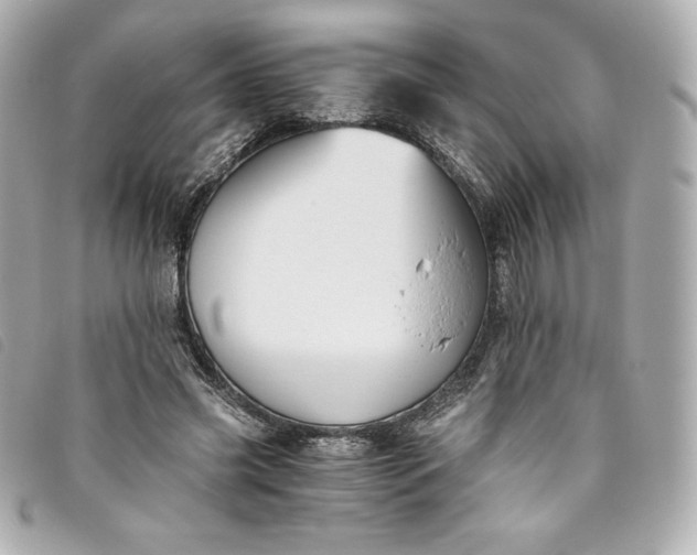 X0000093490541200710261119