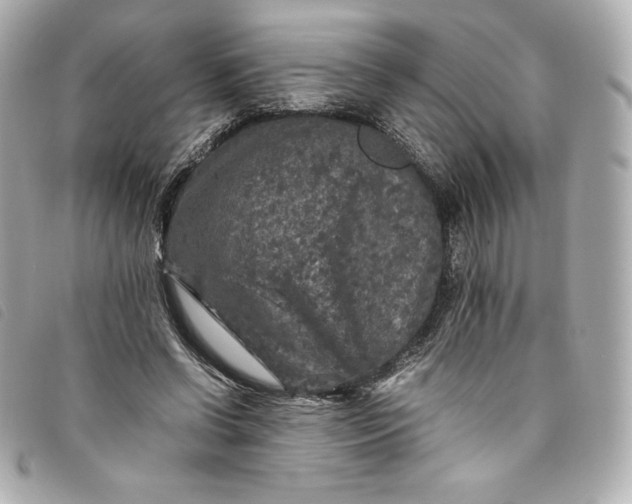 X0000093490542200710261119