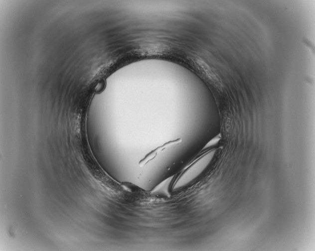 X0000093490543200710261119