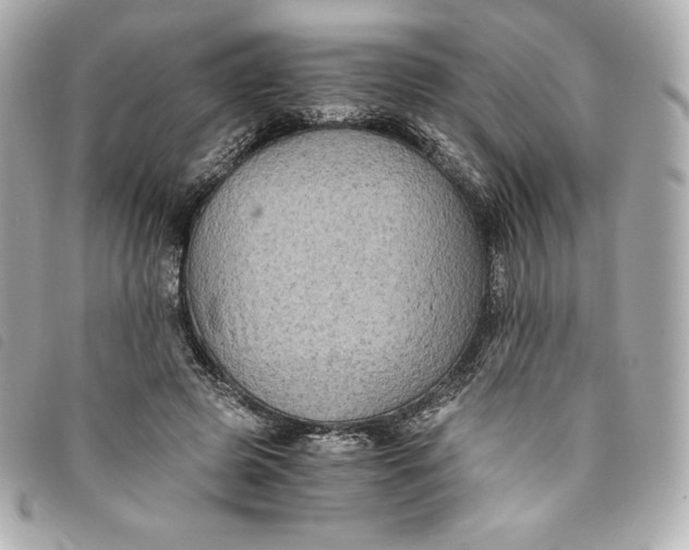 X0000093490545200710261119