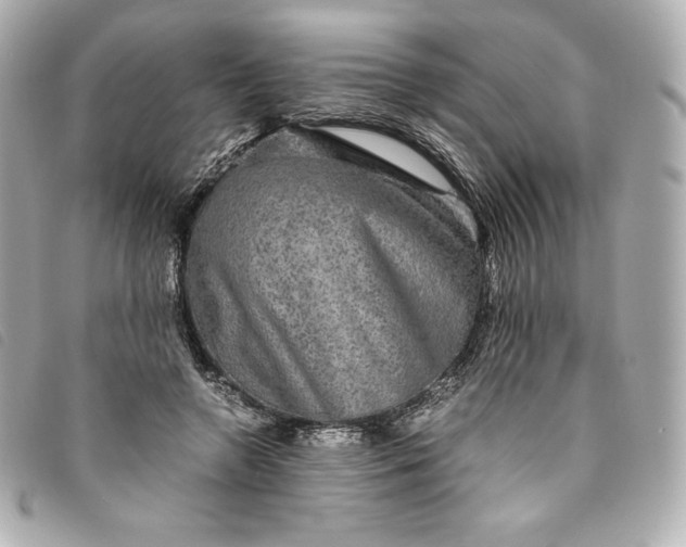 X0000093490546200710261119