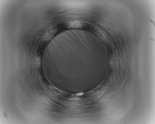 X0000093490551200710261119