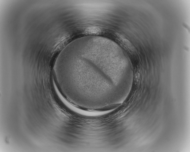 X0000093490552200710261119