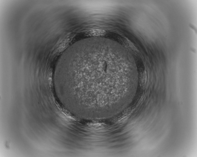 X0000093490553200710261119