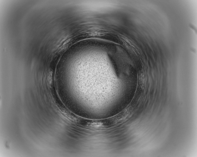 X0000093490554200710261119