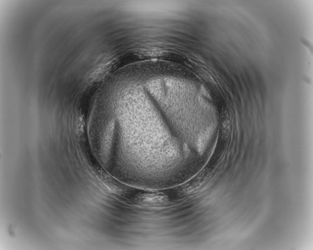 X0000093490555200710261119