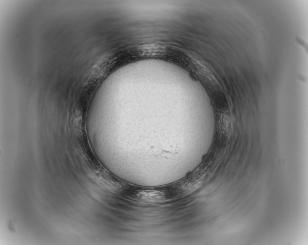 X0000093490557200710261119