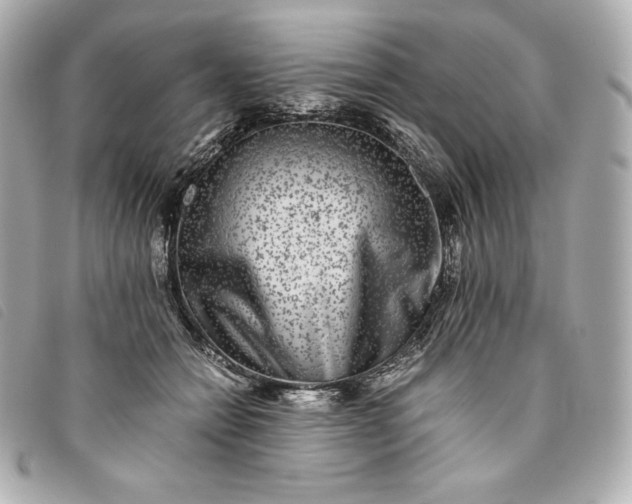 X0000093490558200710261119