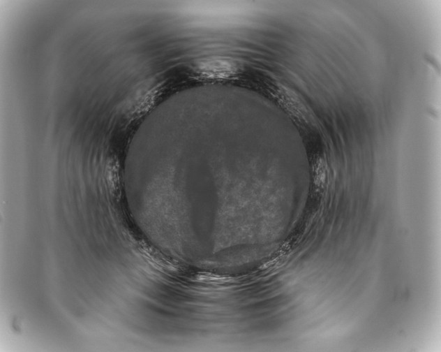 X0000093490559200710261119