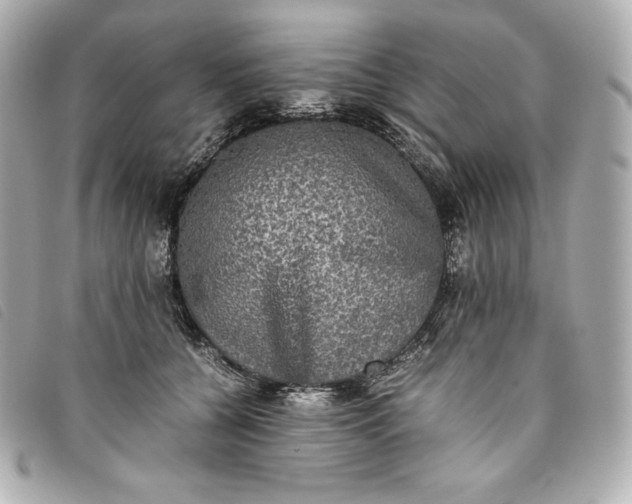 X0000093490560200710261119