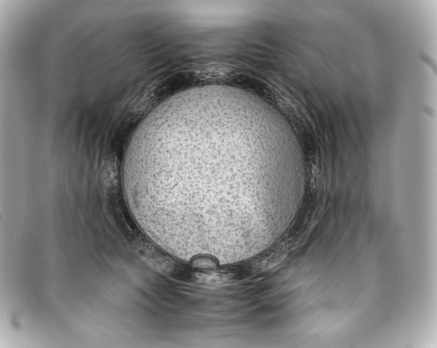 X0000093490561200710261119