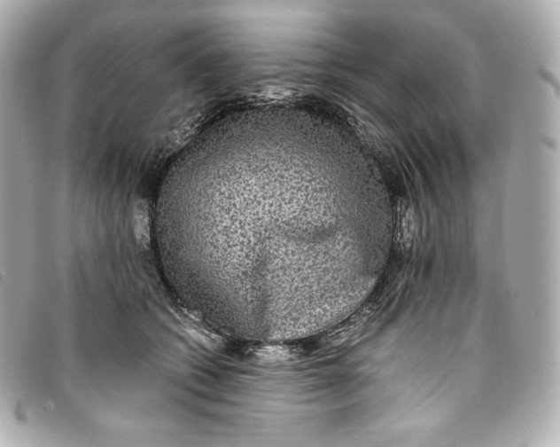 X0000093490562200710261119