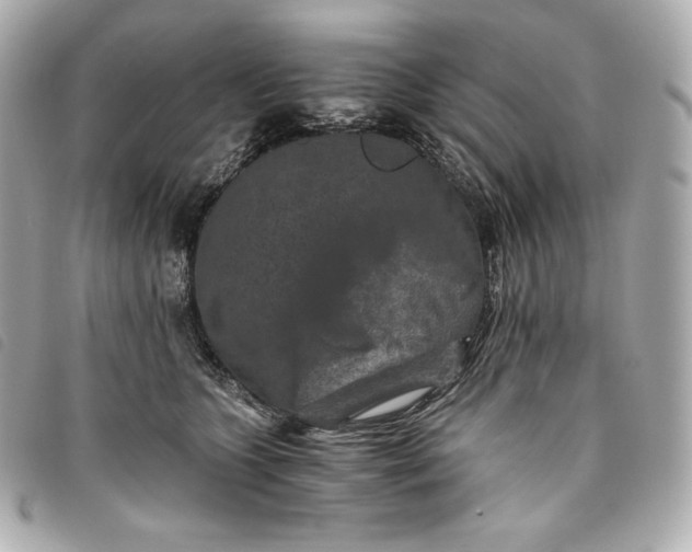 X0000093490563200710261119