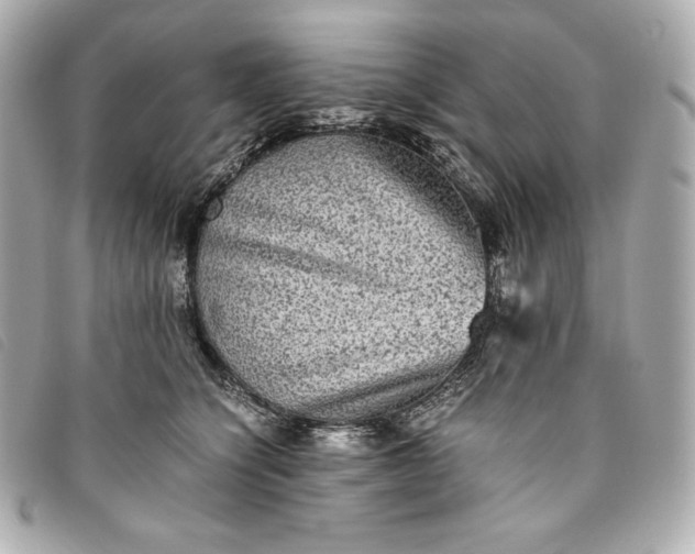 X0000093490564200710261119