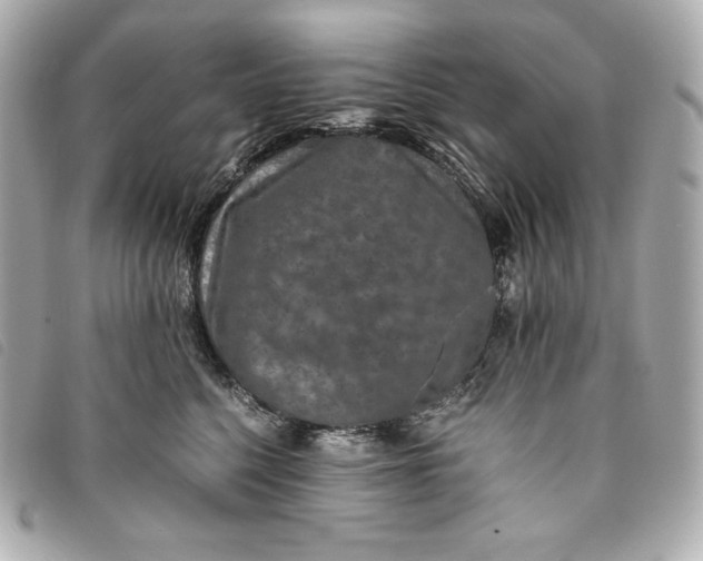 X0000093490568200710261119