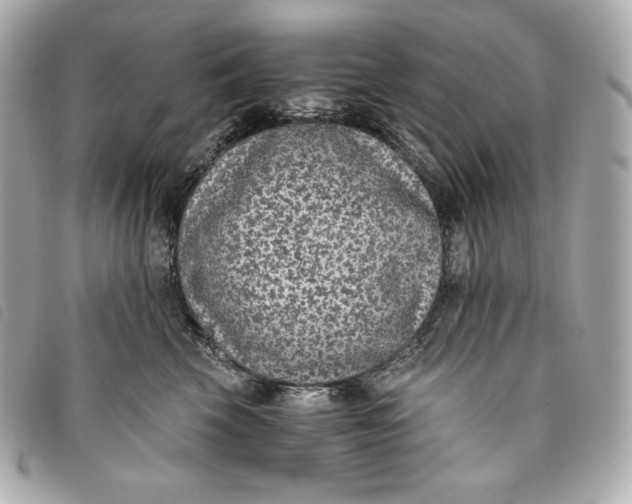 X0000093490569200710261119