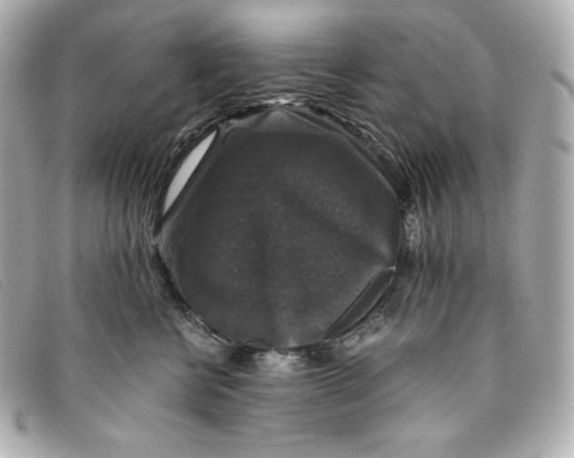 X0000093490570200710261119