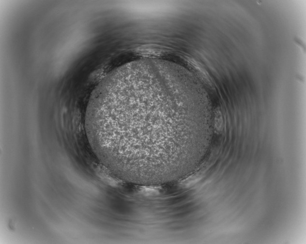 X0000093490573200710261119