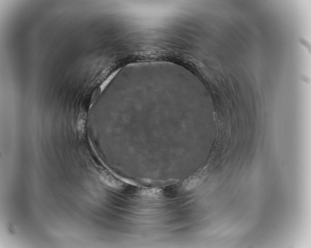 X0000093490576200710261119