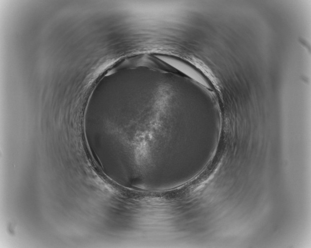 X0000093490577200710261119