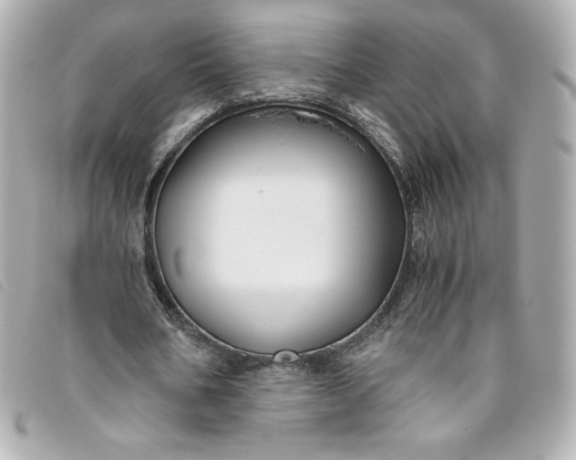 X0000093490578200710261119