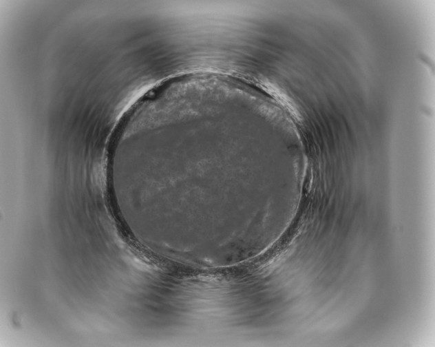 X0000093490580200710261119